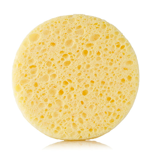 organic vegetable sponge